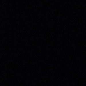 Meet your Posher, Evie